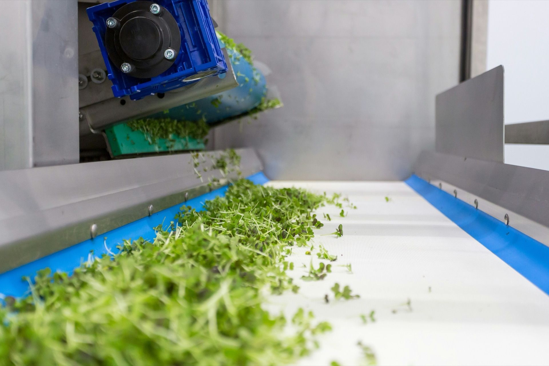 Food and beverage manufacturing automation systems